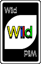 Wild card from UNO card game